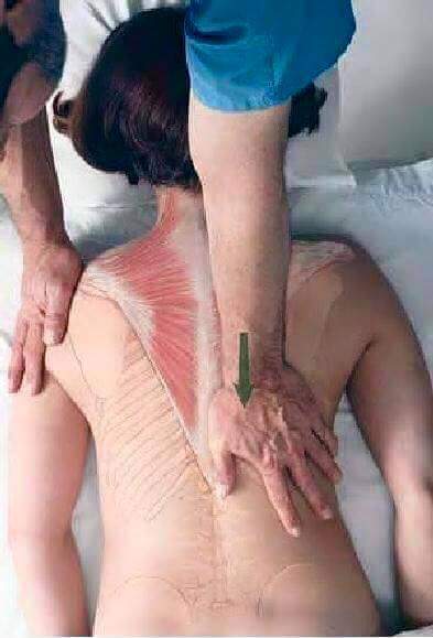 마사지 잘하기.jpg | 인스티즈