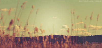 힘든 세상 살면서 마음 속에 하나 쯤 품어도 괜찮은 말들 | 인스티즈