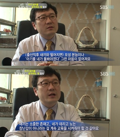 우리엄마 우리하테 왜이래오...(멍무룩) (동물농장 사모예드엄마+아가들) | 인스티즈