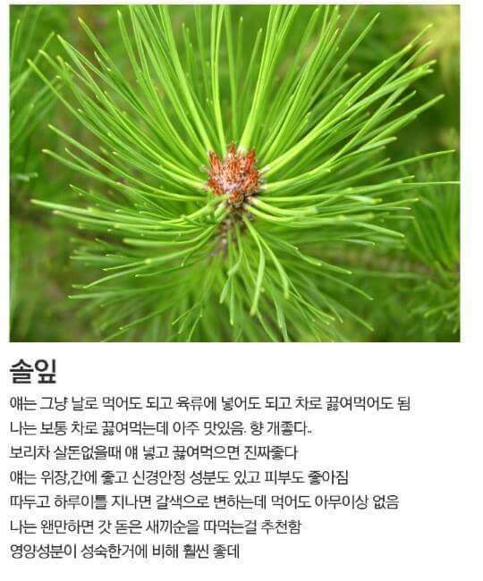 디시인사이드 흙수저 갤러리 꿀팁 모음 | 인스티즈