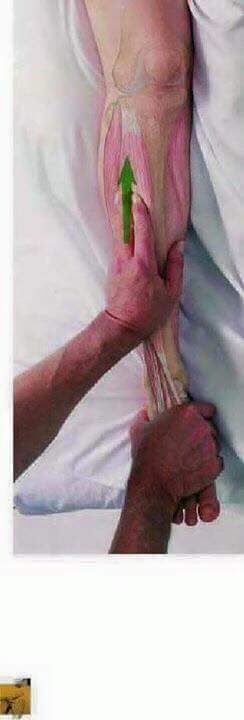 마사지 잘하기.jpg | 인스티즈