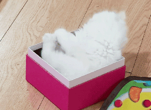 키큰오빠가 따라오라해도 따라가지마.jpg | 인스티즈