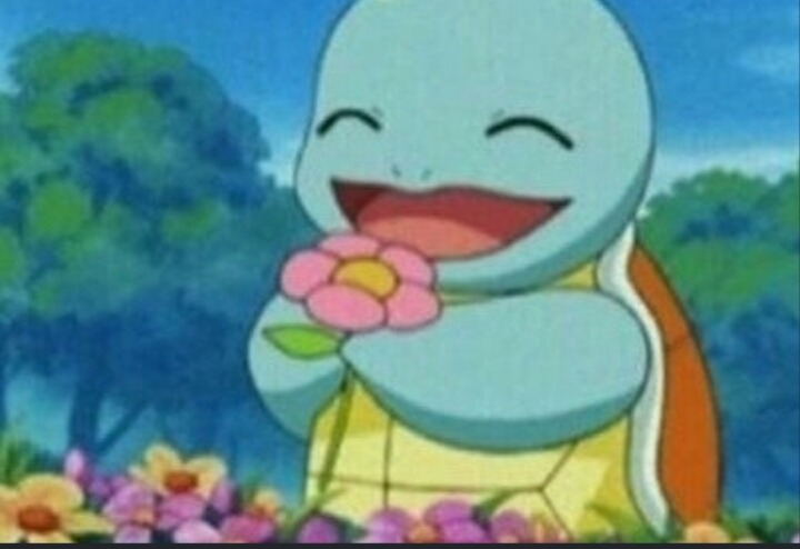 꼬부기상 여자연예인 | 인스티즈