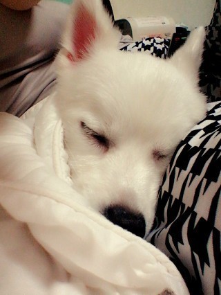 섹스체위별 칼로리소모 | 인스티즈