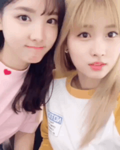 [트와이스] 나연 모모 따라하는 쯔위 채영 | 인스티즈