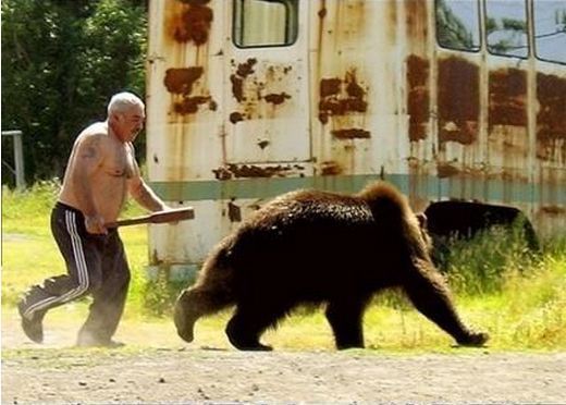 불곰국의 위엄 | 인스티즈