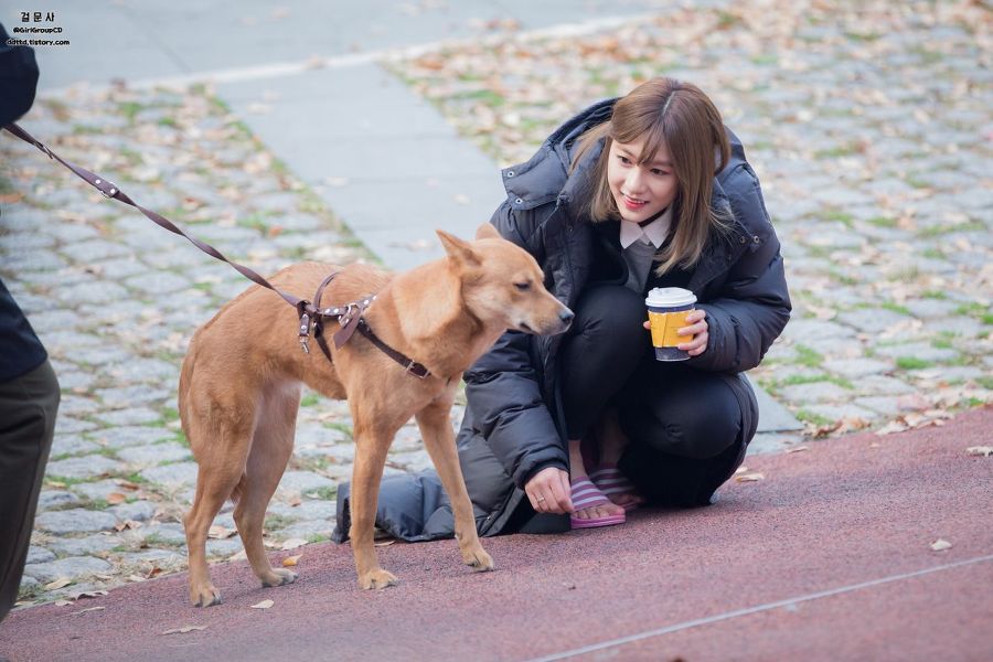 당하는 오하영 | 인스티즈