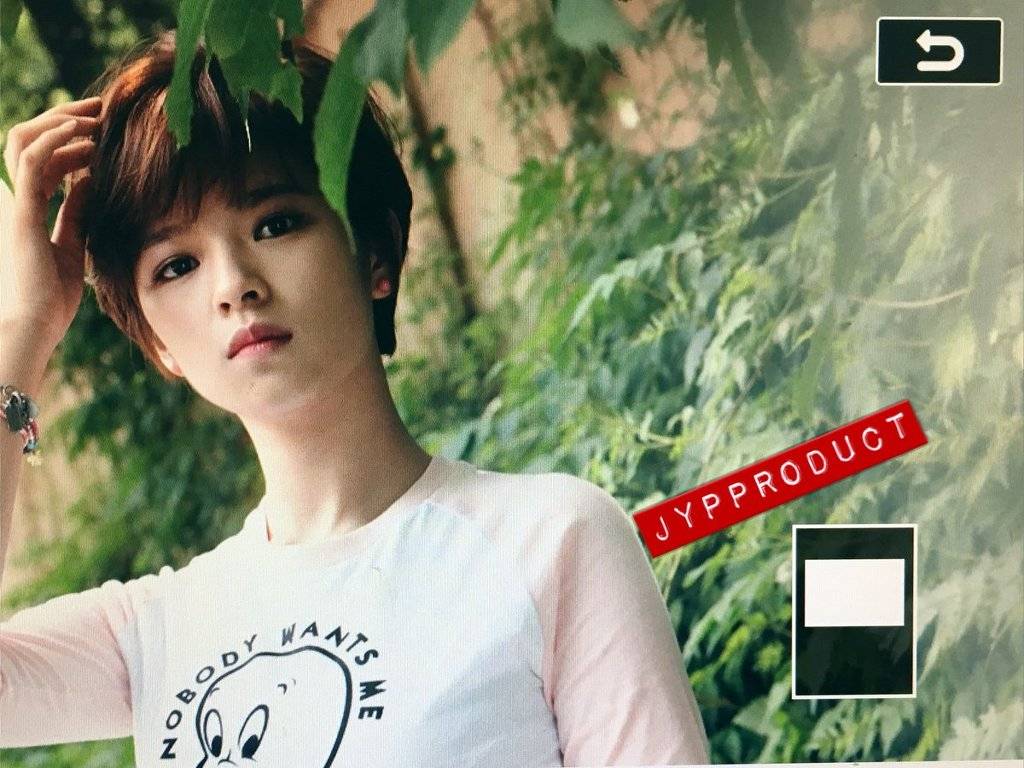 jyp가 직접 뿌린 트와이스 포토북 정연,모모,사나 프리뷰.jpg | 인스티즈