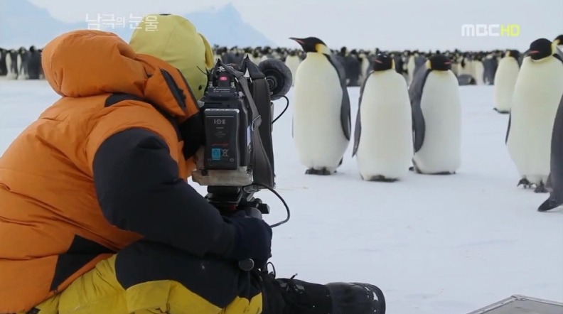 펭귄한테 역관광 당한 사람들 | 인스티즈
