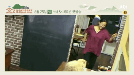 영화같은 삶을 사는 듯한 이효리 이상순 부부 | 인스티즈