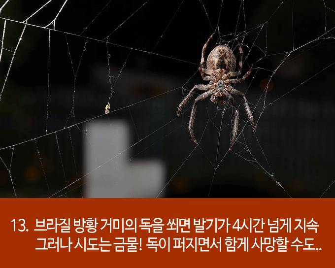 발기에 대한 흥미로운 22가지 사실들 | 인스티즈