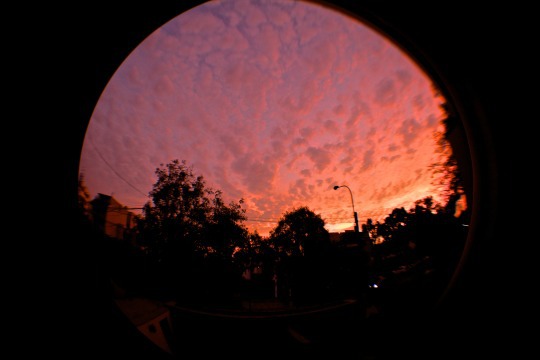  미리 말해주는 것 | 인스티즈