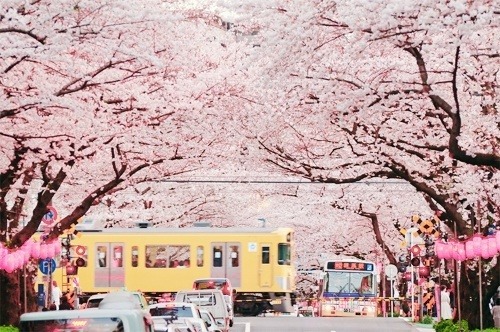  걷고 싶은 거리 고르기 | 인스티즈
