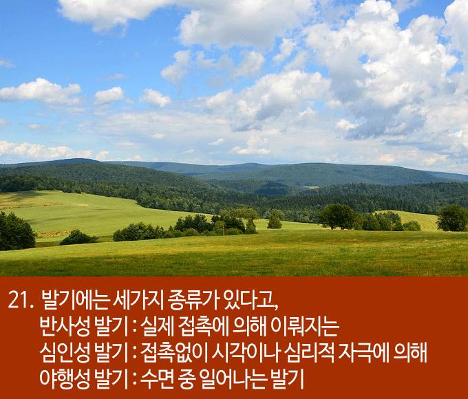 발기에 대한 흥미로운 22가지 사실들 | 인스티즈