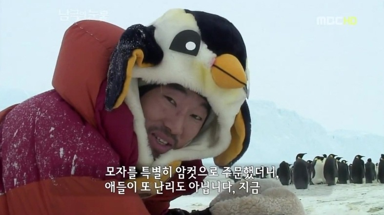 펭귄한테 역관광 당한 사람들 | 인스티즈