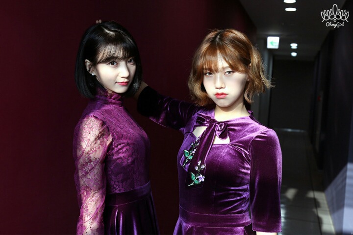 오마이걸 비밀정원 활동사진 | 인스티즈