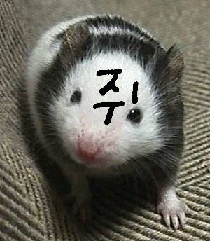 사형선고받고 아직도 살아있는 살인마8인 | 인스티즈