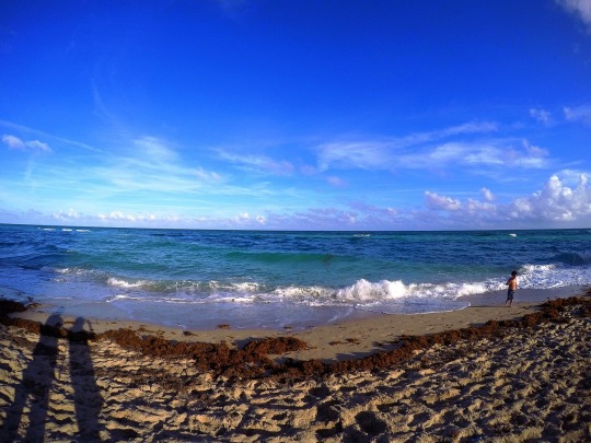  미리 말해주는 것 | 인스티즈