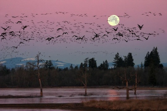 감정을 참는다 | 인스티즈