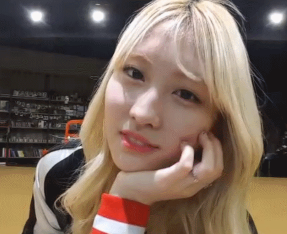 트와이스 멤버별 아이컨택 | 인스티즈