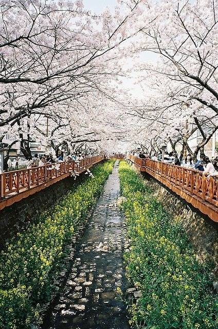  걷고 싶은 거리 고르기 | 인스티즈