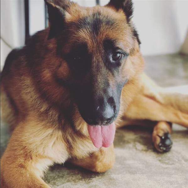 억울하게 죽은 칸과 동생을 잃은 아더를 도와주세요! | 인스티즈