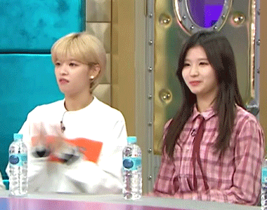 사나 vs 정연 | 인스티즈