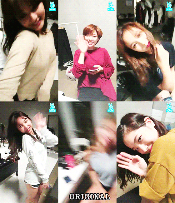 모모 따라하는 트와이스 맴버들 | 인스티즈