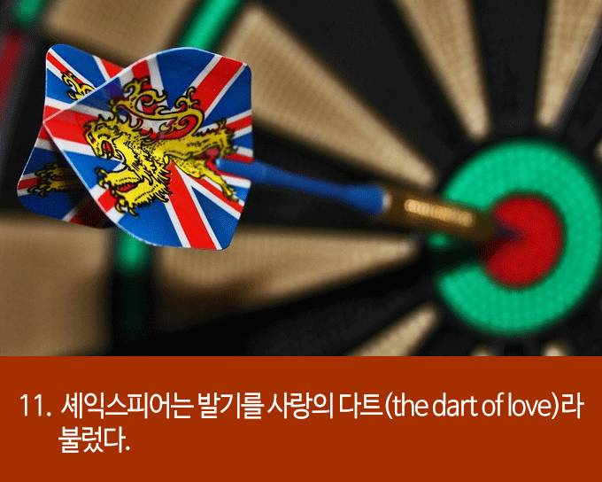 발기에 대한 흥미로운 22가지 사실들 | 인스티즈