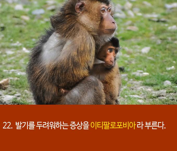 발기에 대한 흥미로운 22가지 사실들 | 인스티즈