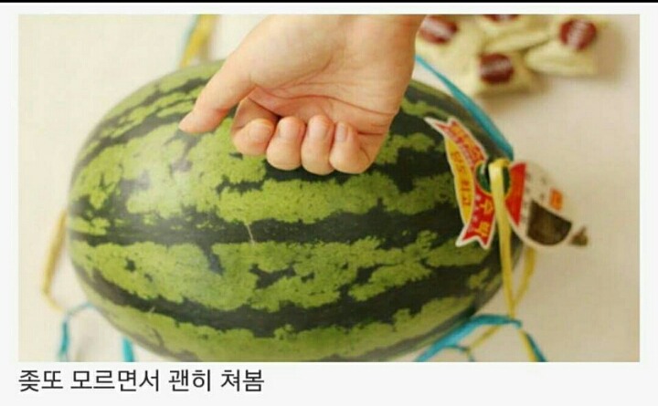 수박 사러 갔을때 특징 | 인스티즈