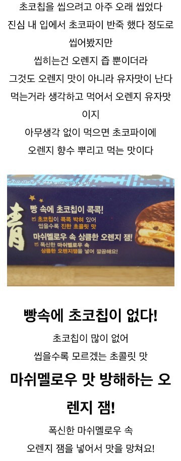 파워블로거의 초코칩 초코파이 리뷰 | 인스티즈