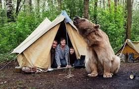 불곰국의 위엄 | 인스티즈