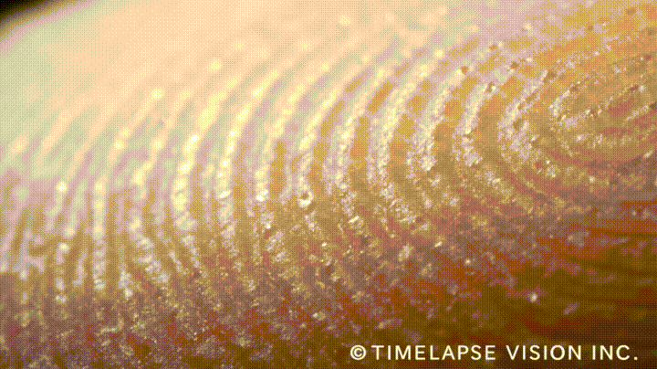 손에 땀많은 사람들 특징 | 인스티즈