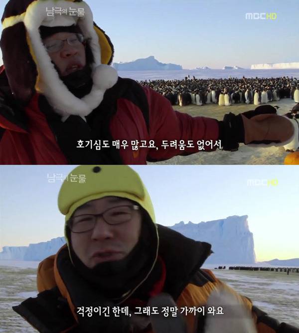 펭귄한테 역관광 당한 사람들 | 인스티즈