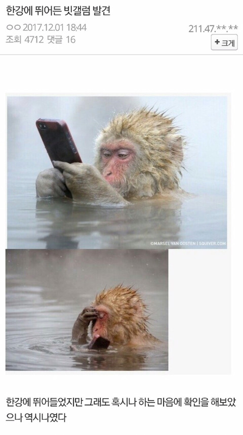 조선일보가 본 비트코인..jpg | 인스티즈