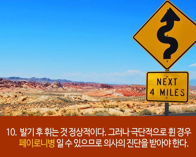 발기에 대한 흥미로운 22가지 사실들 | 인스티즈