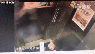 대륙의 화장실 사용법 | 인스티즈