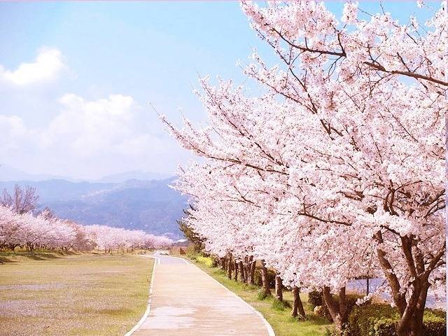  걷고 싶은 거리 고르기 | 인스티즈