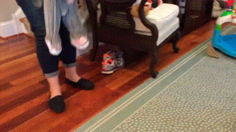 코끼리를 처음 본 강아지.gif | 인스티즈