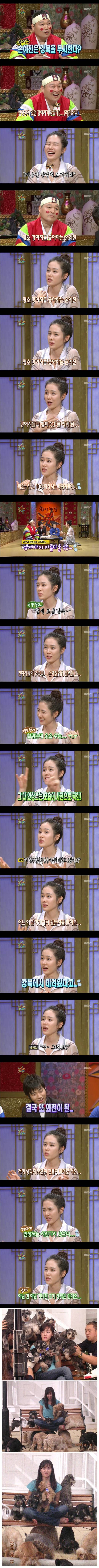 손예진의 전설의 강북개 루머.jpg | 인스티즈