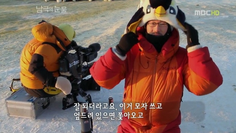 펭귄한테 역관광 당한 사람들 | 인스티즈