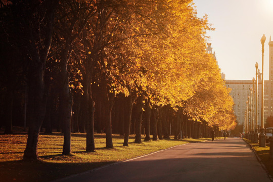  걷고 싶은 거리 고르기 | 인스티즈