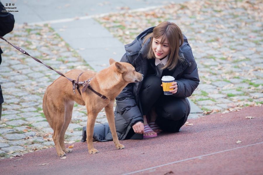 당하는 오하영 | 인스티즈