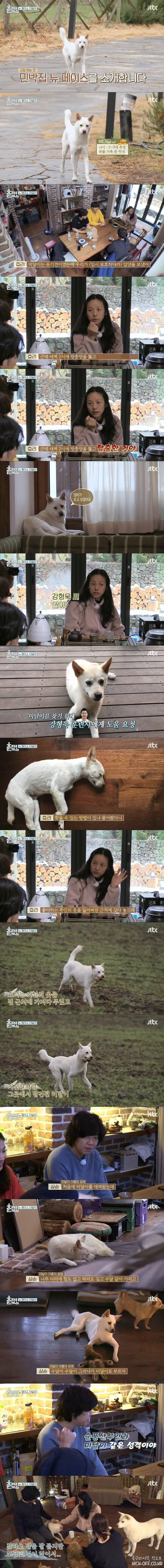 개통령에게 도움을 청한 이효리 | 인스티즈