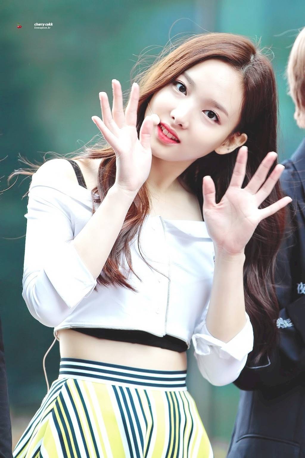 모태솔로라는 나연쓰 | 인스티즈