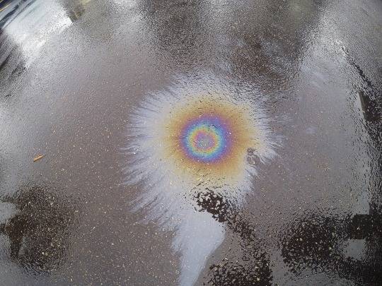  미리 말해주는 것 | 인스티즈