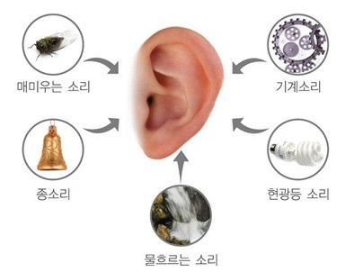 비교적 흔한 사람 미치게 만드는 질환들 | 인스티즈