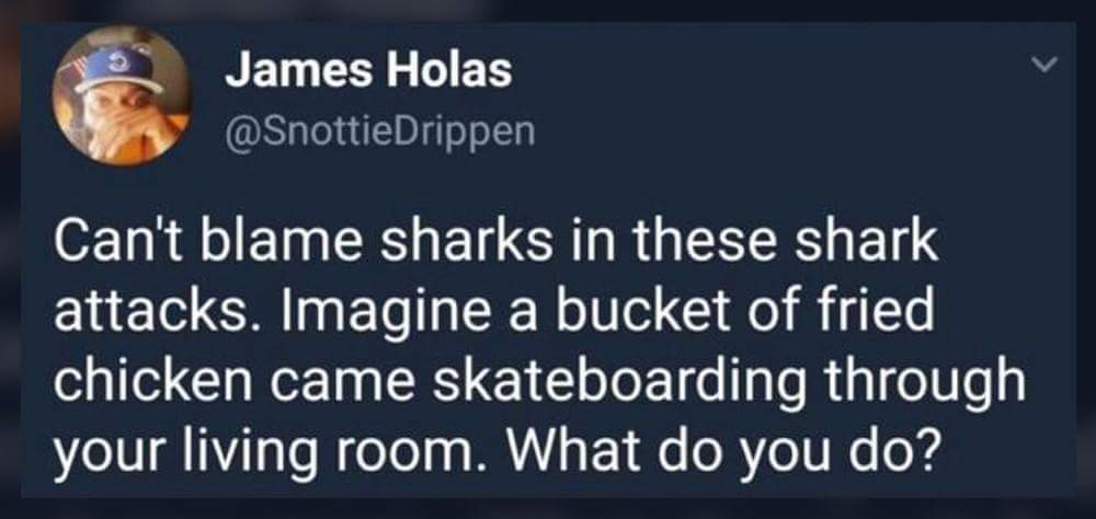 사람 잡아먹는 상어들을 미워할 수 없는 이유 | 인스티즈