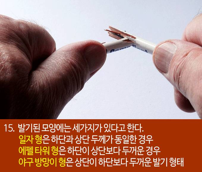 발기에 대한 흥미로운 22가지 사실들 | 인스티즈